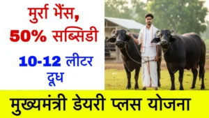 Mukhyamantri Dairy Plus Yojana
